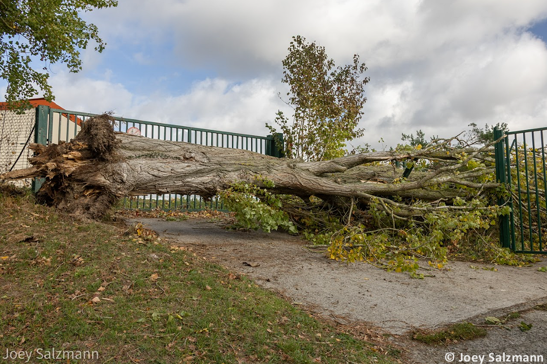 Tornade EF2 à Ermont (Val-d'Oise) le 20 octobre 2025