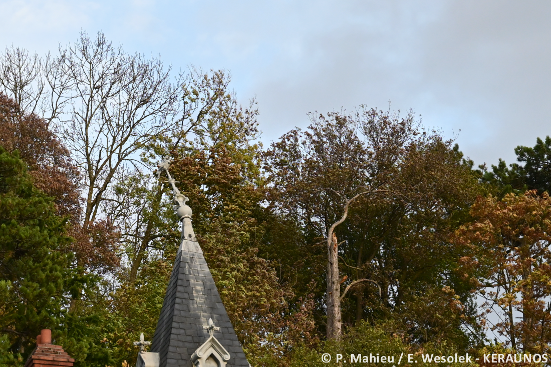 Tornade EF2 à Ermont (Val-d'Oise) le 20 octobre 2025