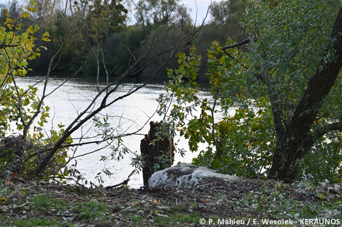 Tornade EF2 à Ermont (Val-d'Oise) le 20 octobre 2025