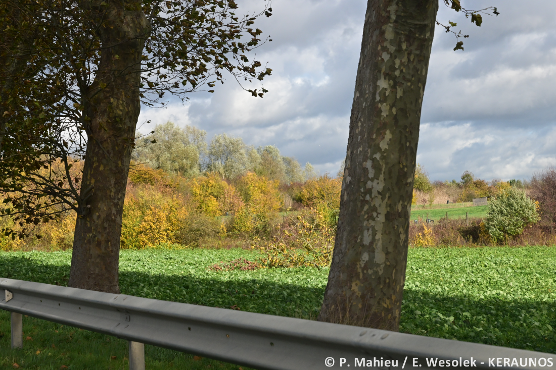 Tornade EF2 à Ermont (Val-d'Oise) le 20 octobre 2025