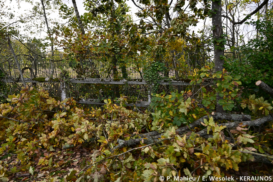 Tornade EF2 à Ermont (Val-d'Oise) le 20 octobre 2025