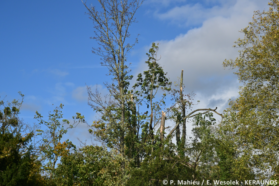 Tornade EF2 à Ermont (Val-d'Oise) le 20 octobre 2025