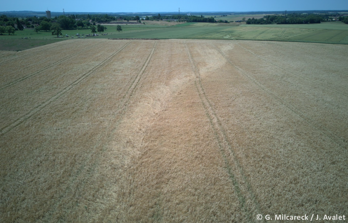Tornade EF0 à Flavacourt (Oise) le 7 juin 2025