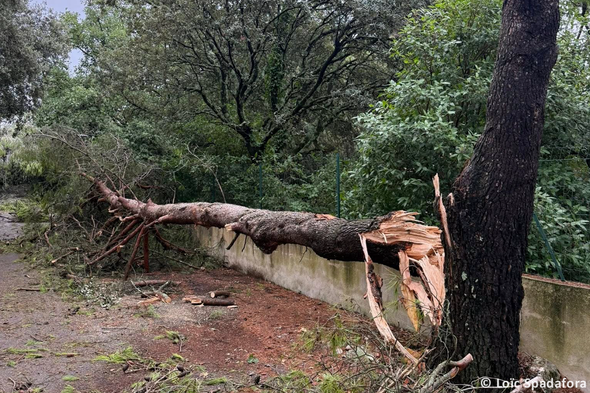 Tornade EF0 à Garrigues-Sainte-Eulalie (Gard) le 31 août 2025