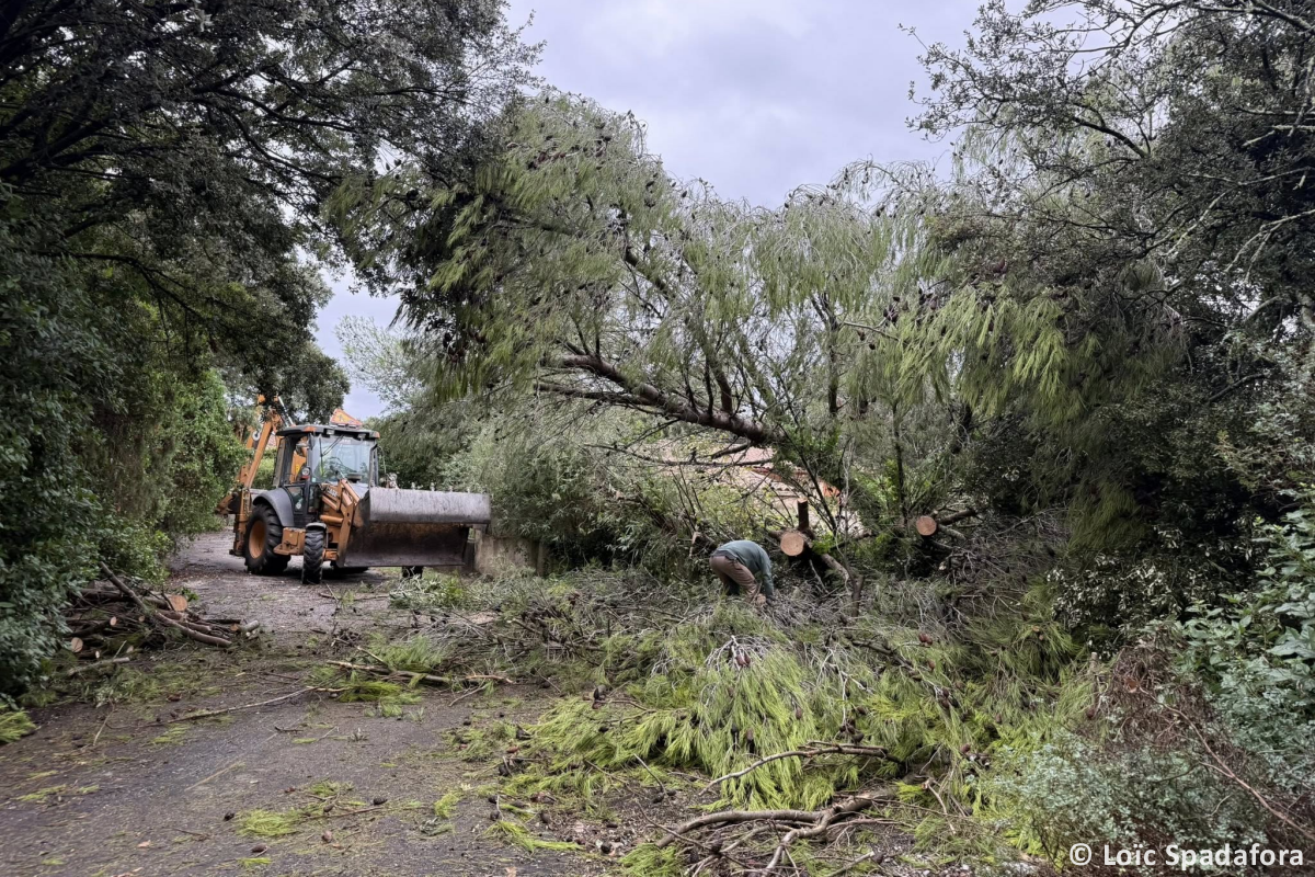 Tornade EF0 à Garrigues-Sainte-Eulalie (Gard) le 31 août 2025