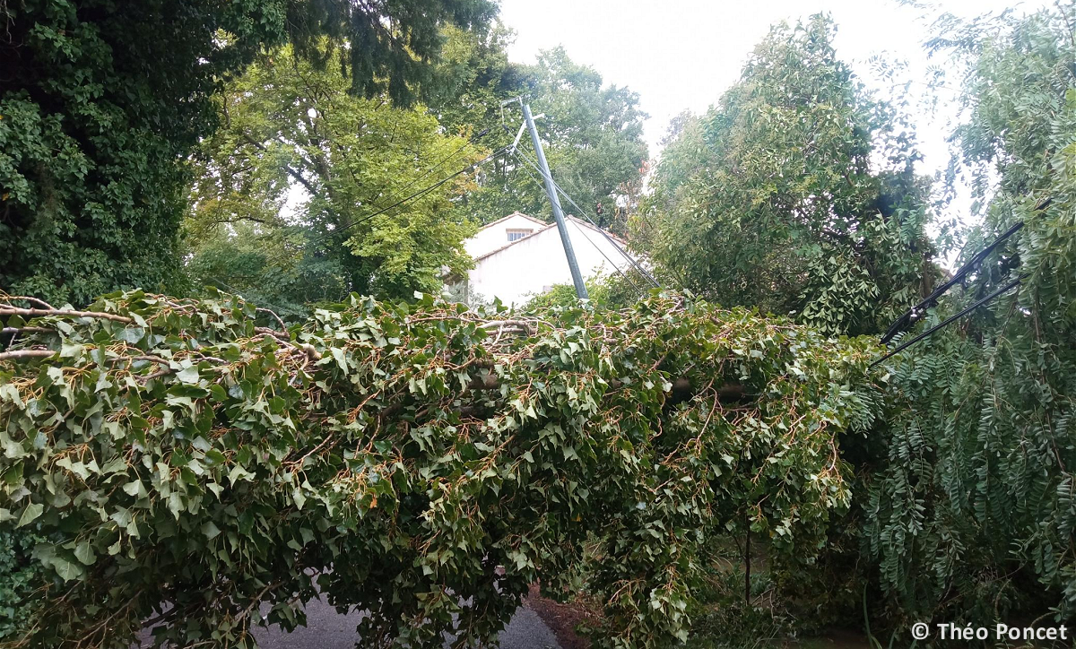 Tornade EF0 à Garrigues-Sainte-Eulalie (Gard) le 31 août 2025