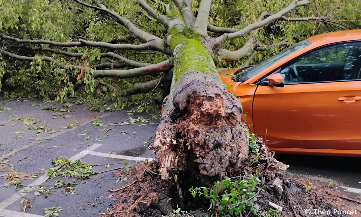 Tornade EF0 à Garrigues-Sainte-Eulalie (Gard) le 31 août 2025