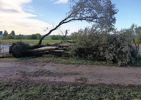 Tornade EF0 à Garrigues-Sainte-Eulalie (Gard) le 31 août 2025