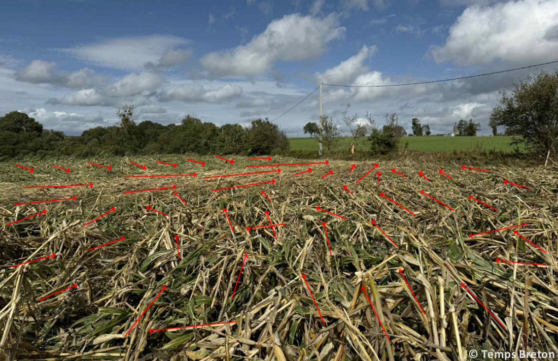 Tornade EF2 à Guéhenno (Morbihan) le 2 septembre 2025