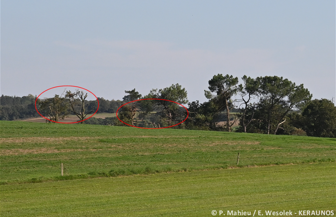 Tornade EF2 à Guéhenno (Morbihan) le 2 septembre 2025