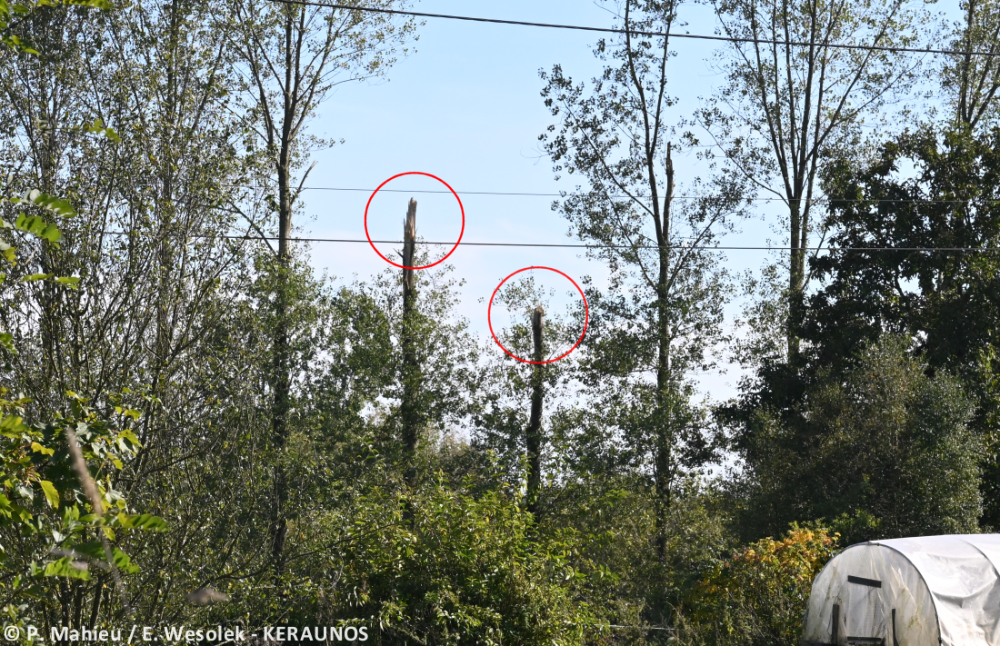 Tornade EF2 à Guéhenno (Morbihan) le 2 septembre 2025