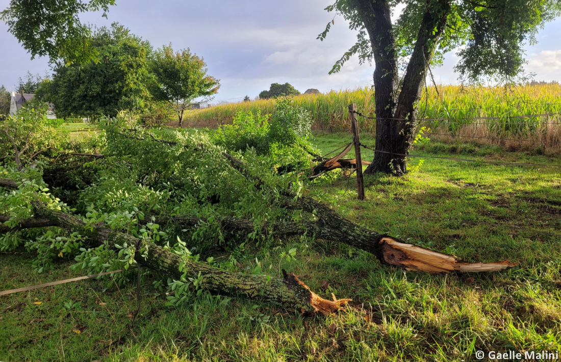 Tornade EF2 à Guéhenno (Morbihan) le 2 septembre 2025