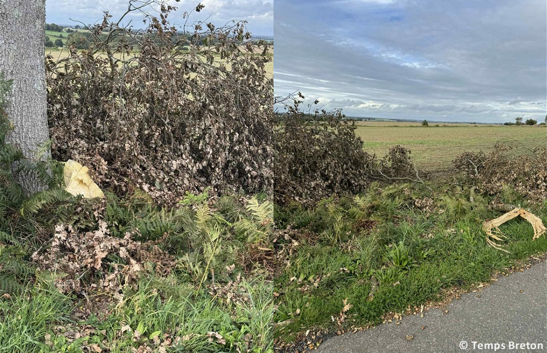 Tornade EF2 à Guéhenno (Morbihan) le 2 septembre 2025