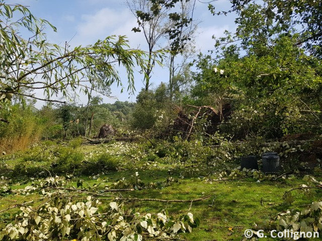 Tornade EF1 à Landévant (Morbihan) le 2 septembre 2025
