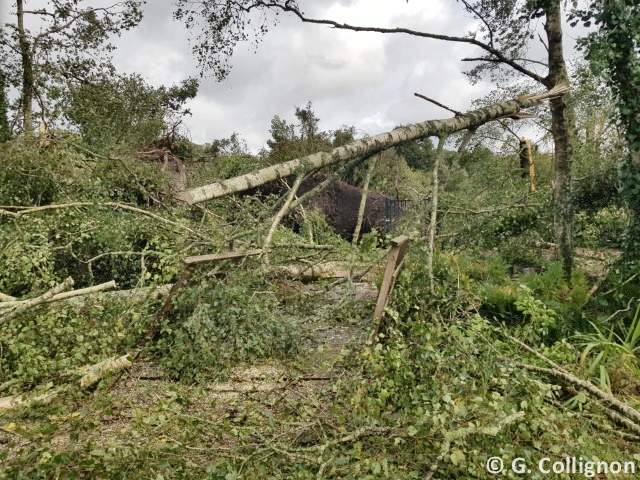 Tornade EF1 à Landévant (Morbihan) le 2 septembre 2025