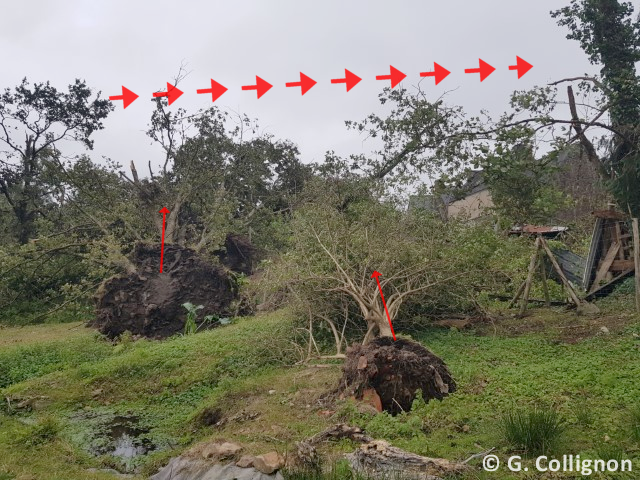 Tornade EF1 à Landévant (Morbihan) le 2 septembre 2025