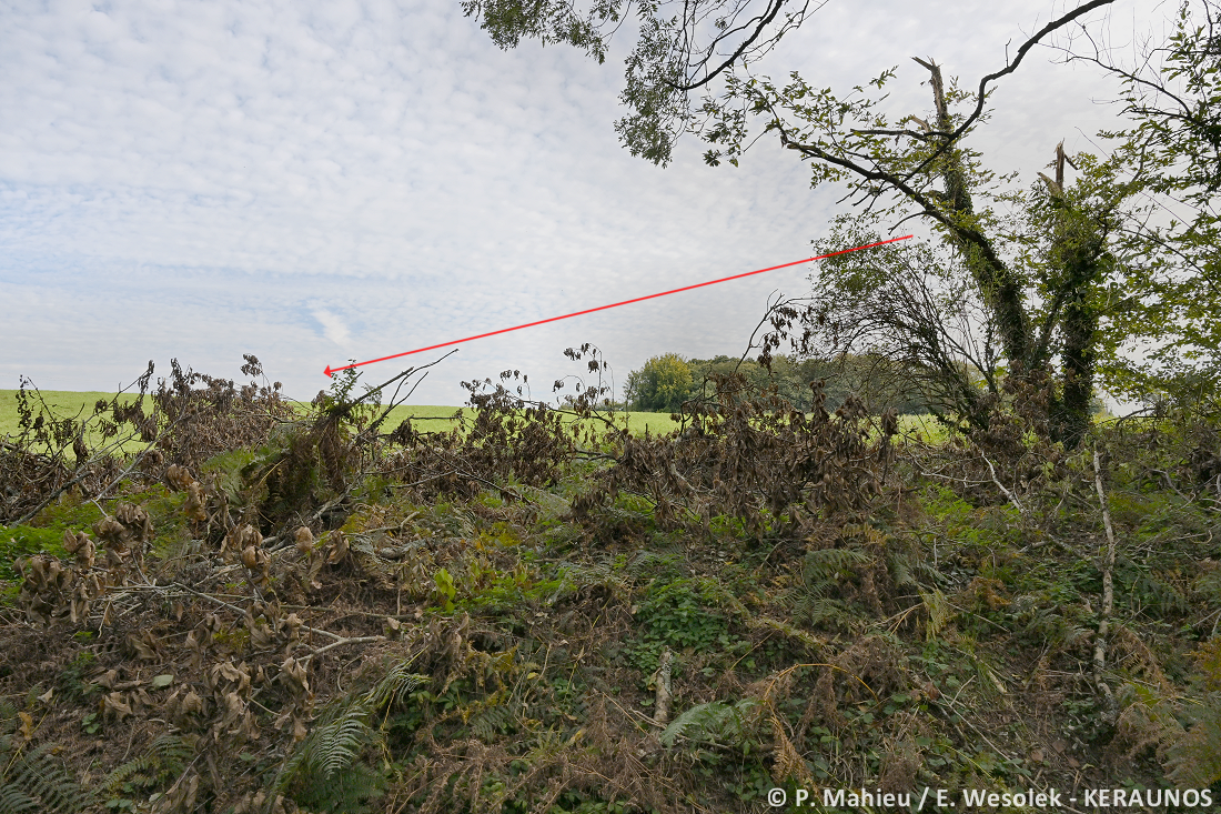 Tornade EF1 à Landévant (Morbihan) le 2 septembre 2025