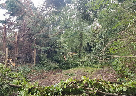 Tornade EF1 à Landévant (Morbihan) le 2 septembre 2025
