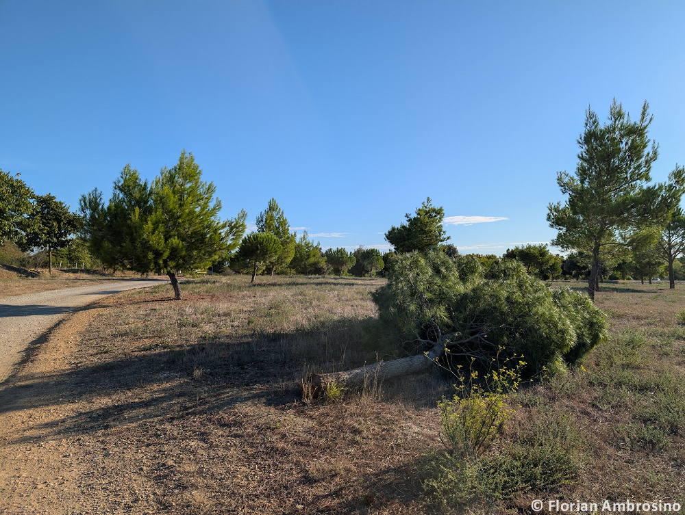 Tornade EF0 à Lattes (Hérault) le 21 septembre 2025