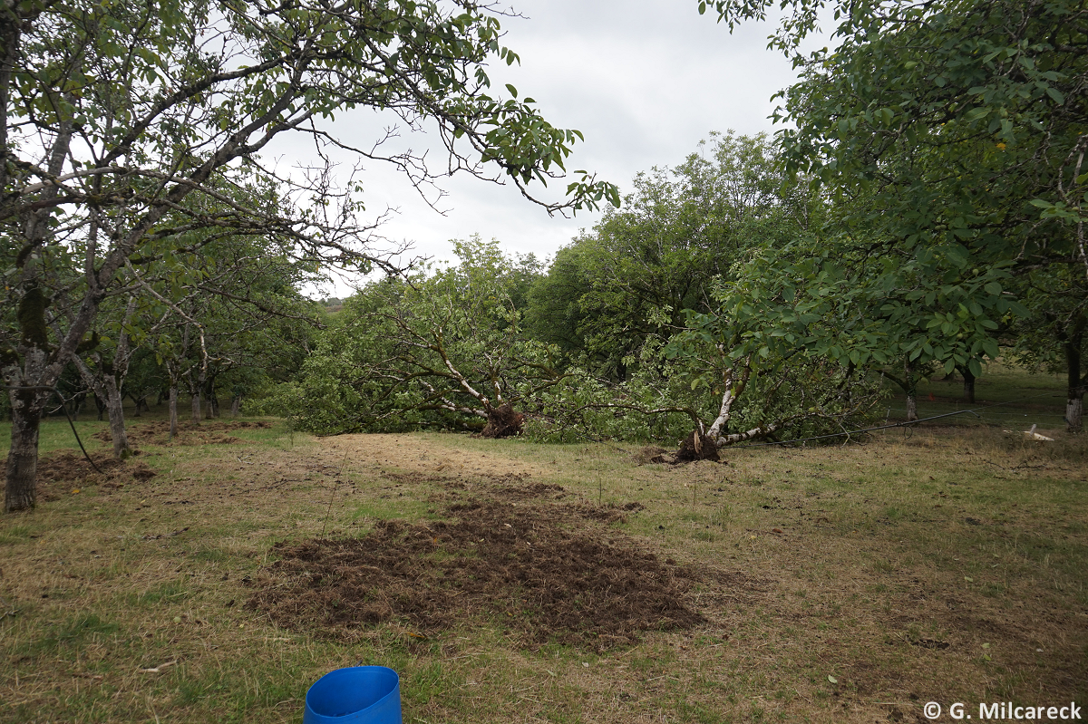 Tornade EF1 à Martel (Lot) le 29 août 2025