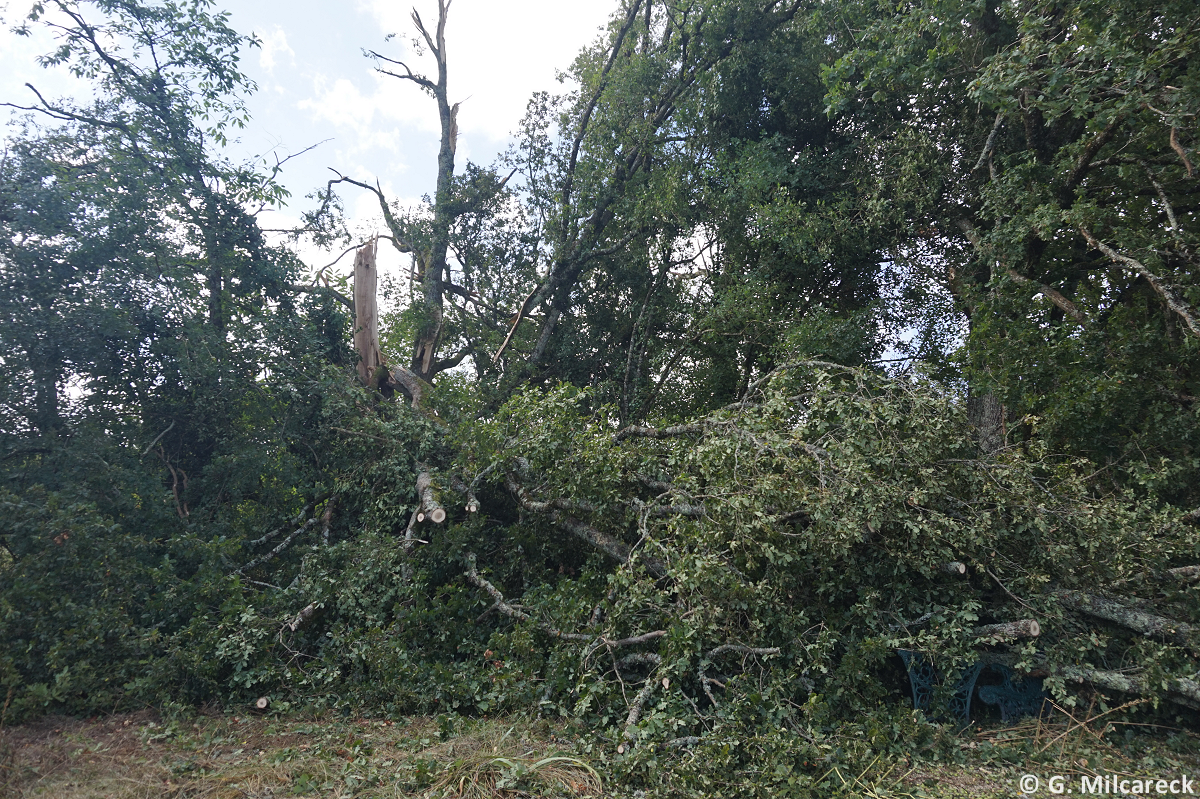 Tornade EF1 à Martel (Lot) le 29 août 2025