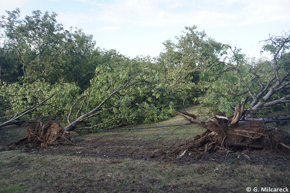 Tornade EF1 à Martel (Lot) le 29 août 2025