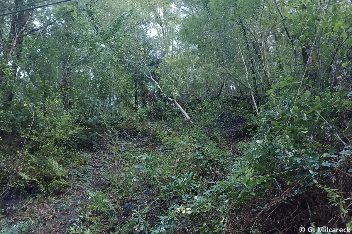 Tornade EF1 à Martel (Lot) le 29 août 2025