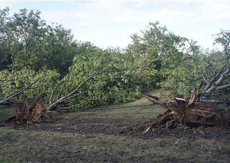 Tornade EF1 à Martel (Lot) le 29 août 2025