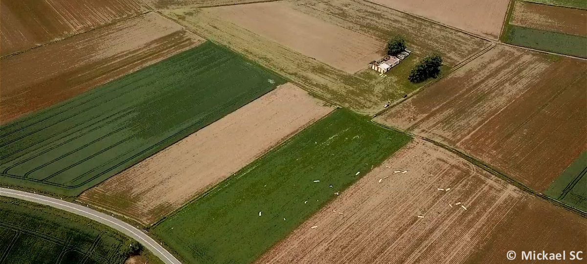 Tornade EF0 à Riedseltz (Bas-Rhin) le 28 mai 2025