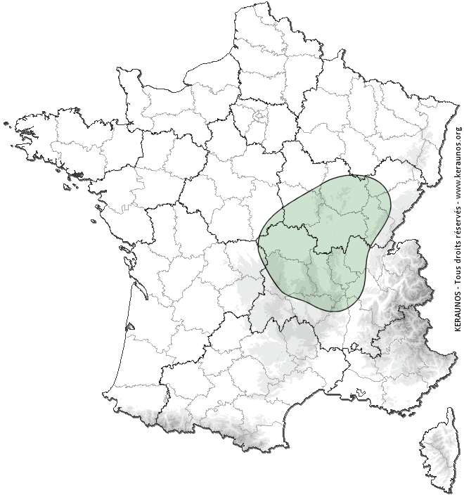Tornade EF2 à Roche-en-Forez (Loire) le 1er juin 2025