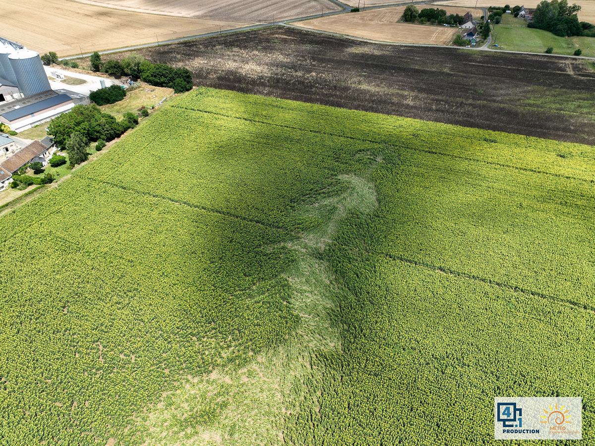 Tornade EF0 à Saint-Amand-Longpré (Loir-et-Cher) le 6 juillet 2025