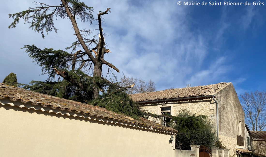 Tornade EF1 à Saint-Etienne-du-Grès (Bouches-du-Rhône) le 27 janvier 2025
