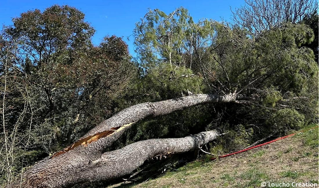 Tornade EF1 à Saint-Etienne-du-Grès (Bouches-du-Rhône) le 27 janvier 2025