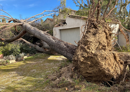 Tornade EF1 à Saint-Etienne-du-Grès (Bouches-du-Rhône) le 27 janvier 2025