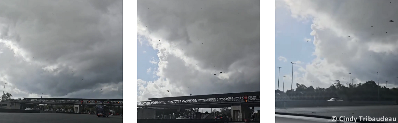 Tornade EF1 à Saint-Rabier (Dordogne) le 29 août 2025