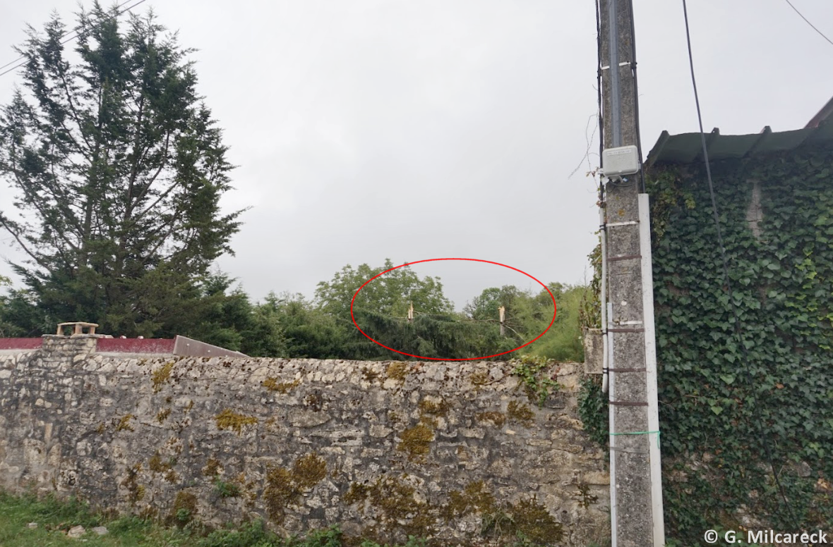 Tornade EF0 à Sainte-Orse (Dordogne) le 23 juillet 2025