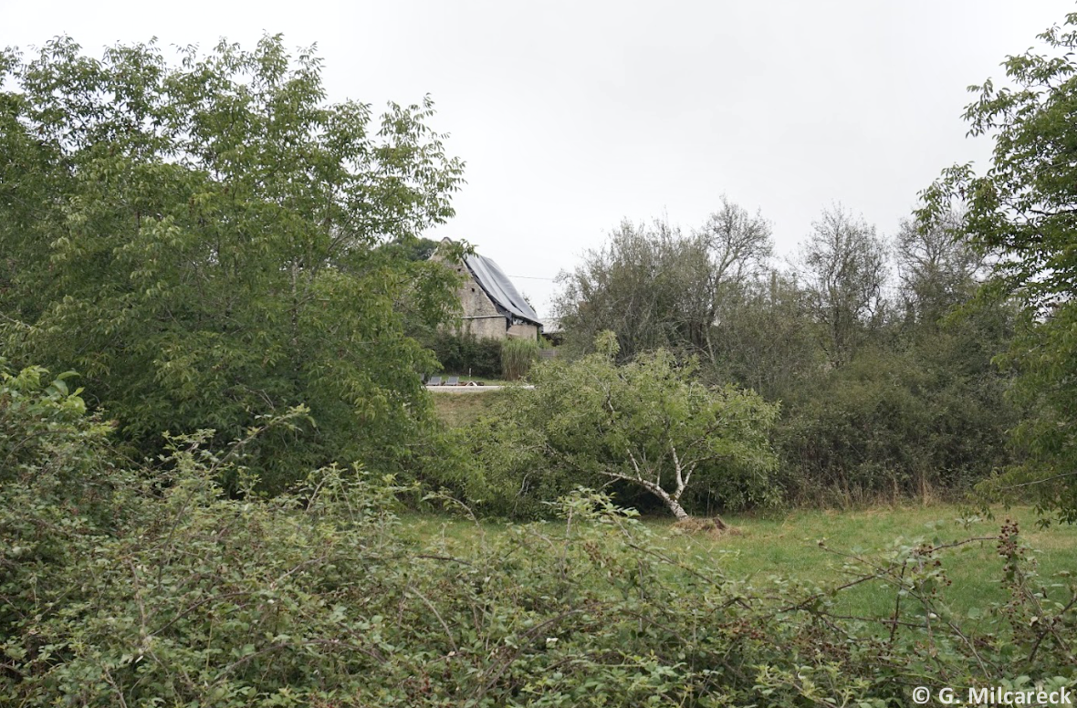 Tornade EF0 à Sainte-Orse (Dordogne) le 23 juillet 2025