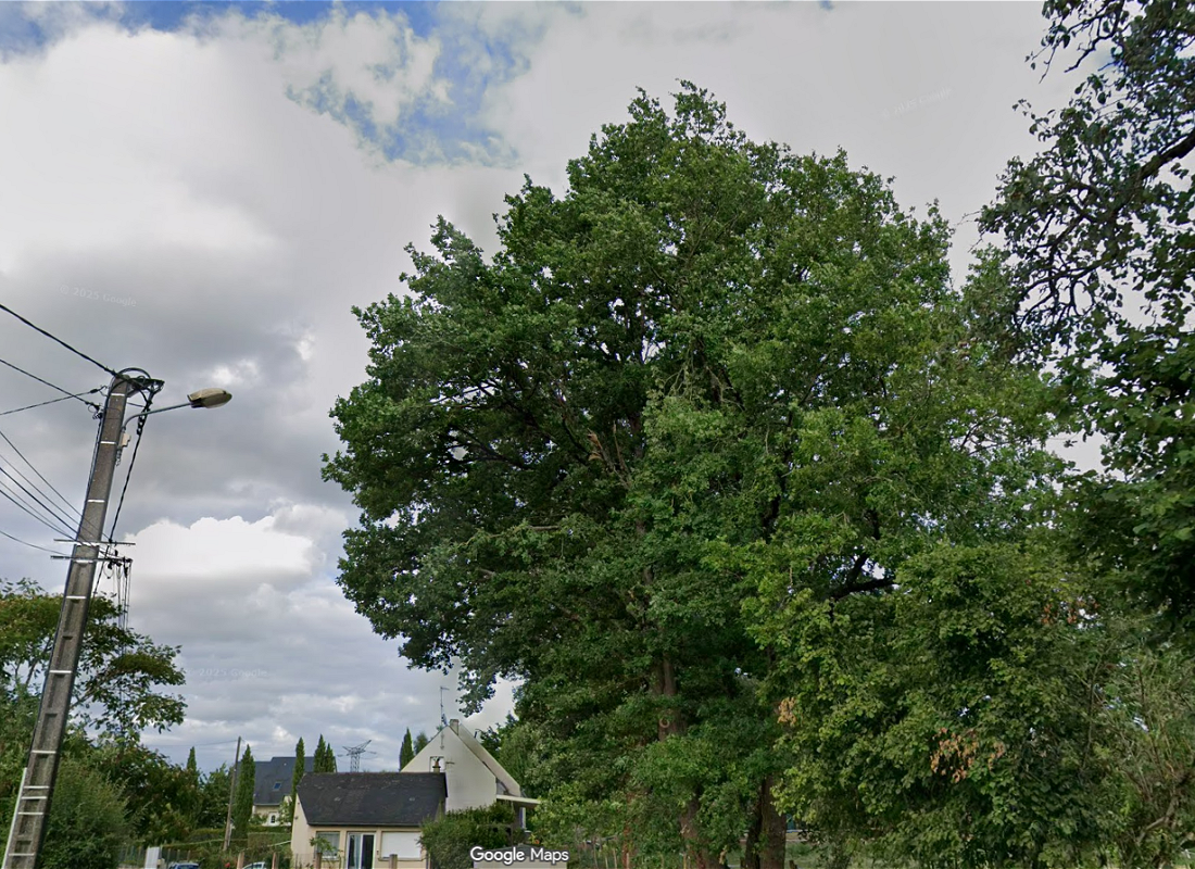 Tornade EF1 à Tours (Indre-et-Loire) le 21 juillet 2025