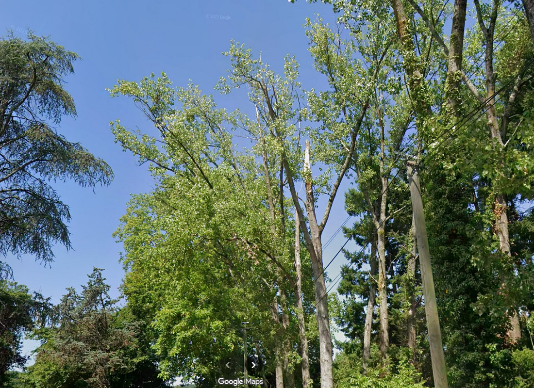 Tornade EF1 à Tours (Indre-et-Loire) le 21 juillet 2025
