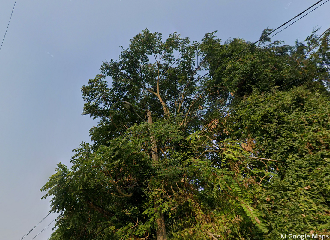 Tornade EF1 à Tours (Indre-et-Loire) le 21 juillet 2025