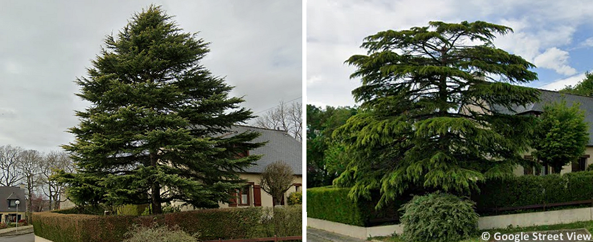 Tornade EF0 à Vezin-le-Coquet (Ille-et-Vilaine) le 27 janvier 2025