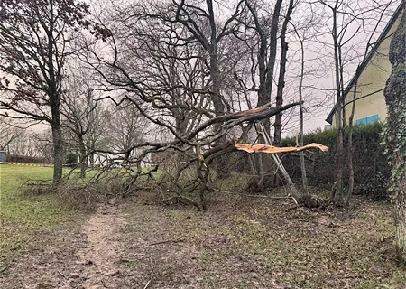 Tornade EF0 à Vezin-le-Coquet (Ille-et-Vilaine) le 27 janvier 2025