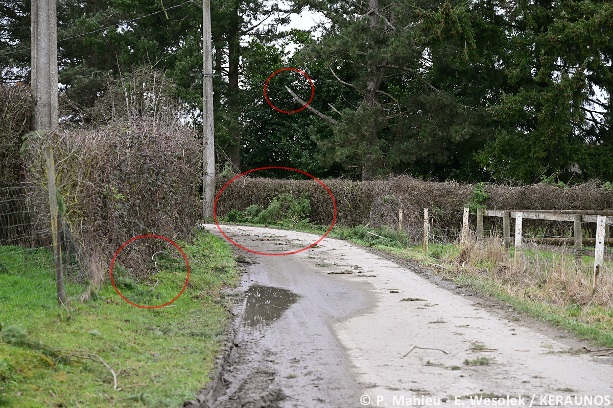 Tornade EF1 à Cousolre (Nord) le 16 février 2026