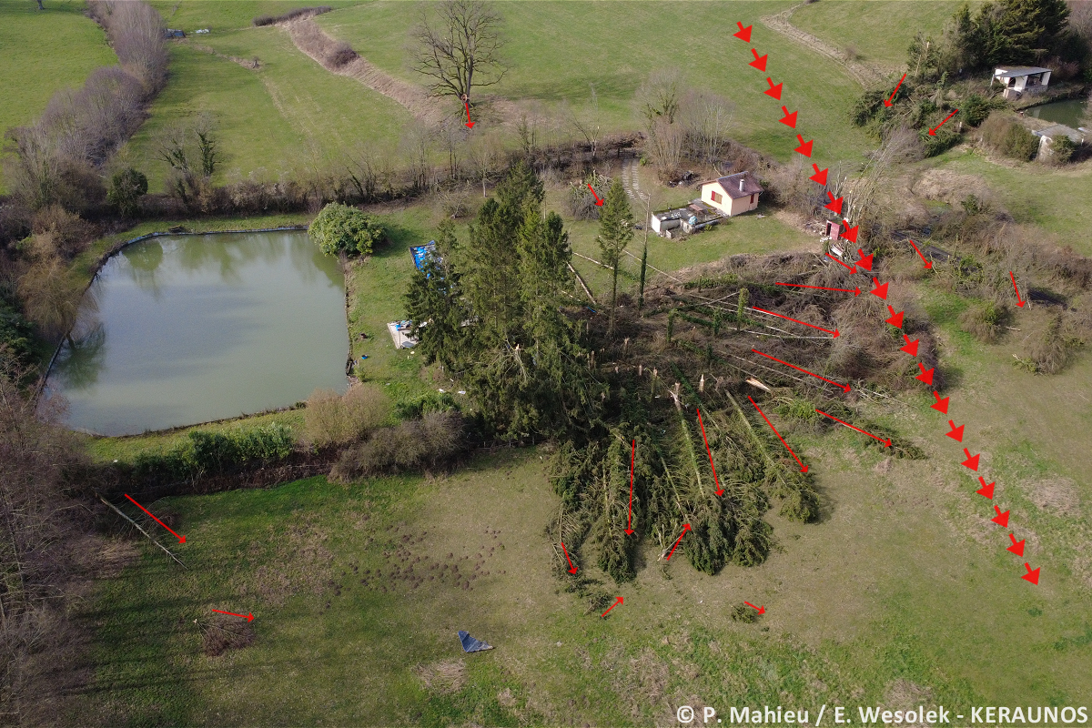 Tornade EF1 à Cousolre (Nord) le 16 février 2026