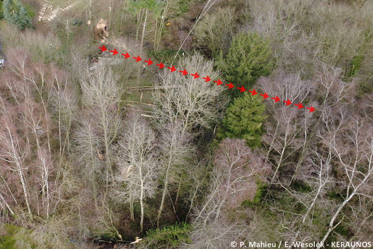 Tornade EF1 à Cousolre (Nord) le 16 février 2026