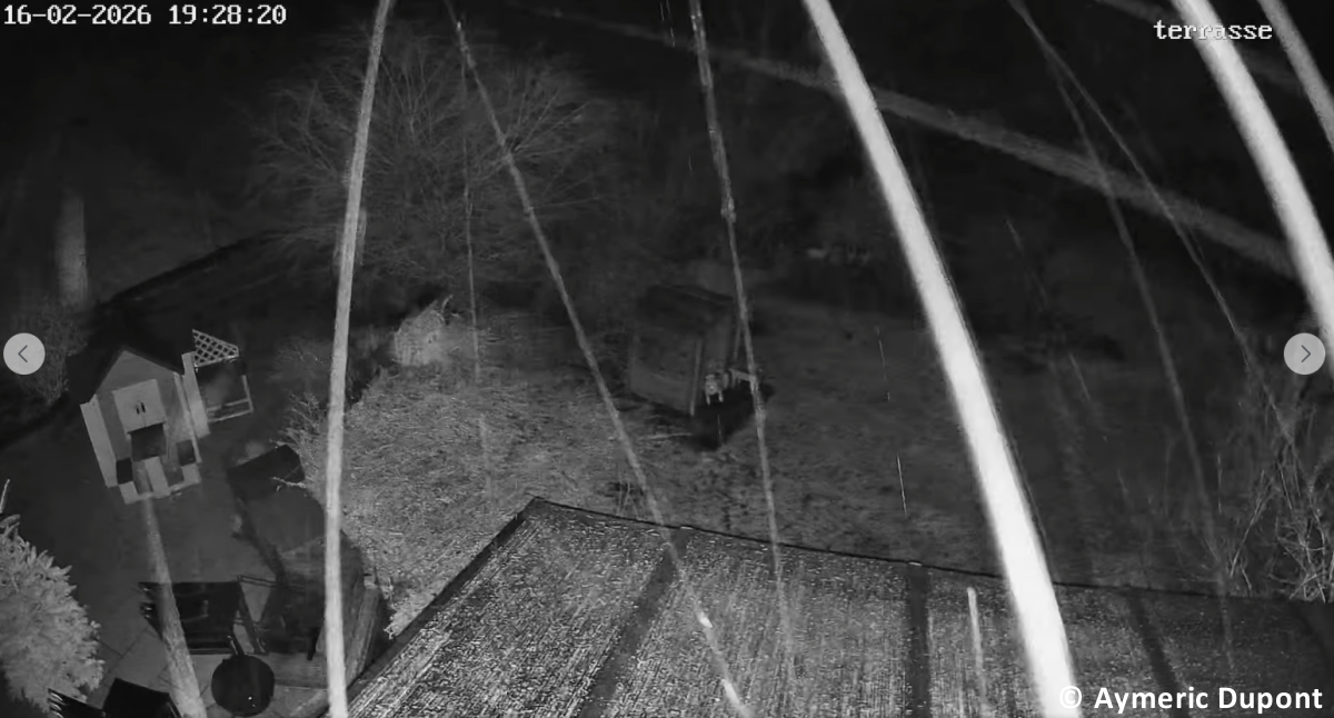 Tornade EF1 à Cousolre (Nord) le 16 février 2026