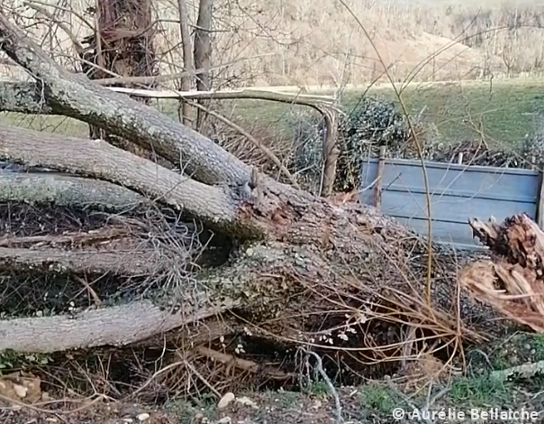 Tornade EF1 à Lasseube (Pyrénées-Atlantiques) le 25 janvier 2026