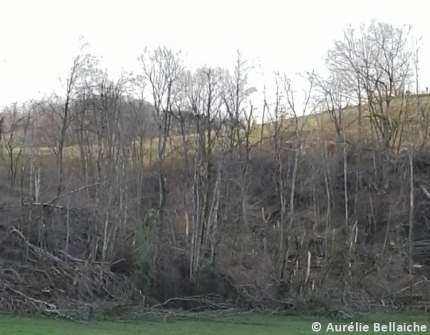 Tornade EF1 à Lasseube (Pyrénées-Atlantiques) le 25 janvier 2026