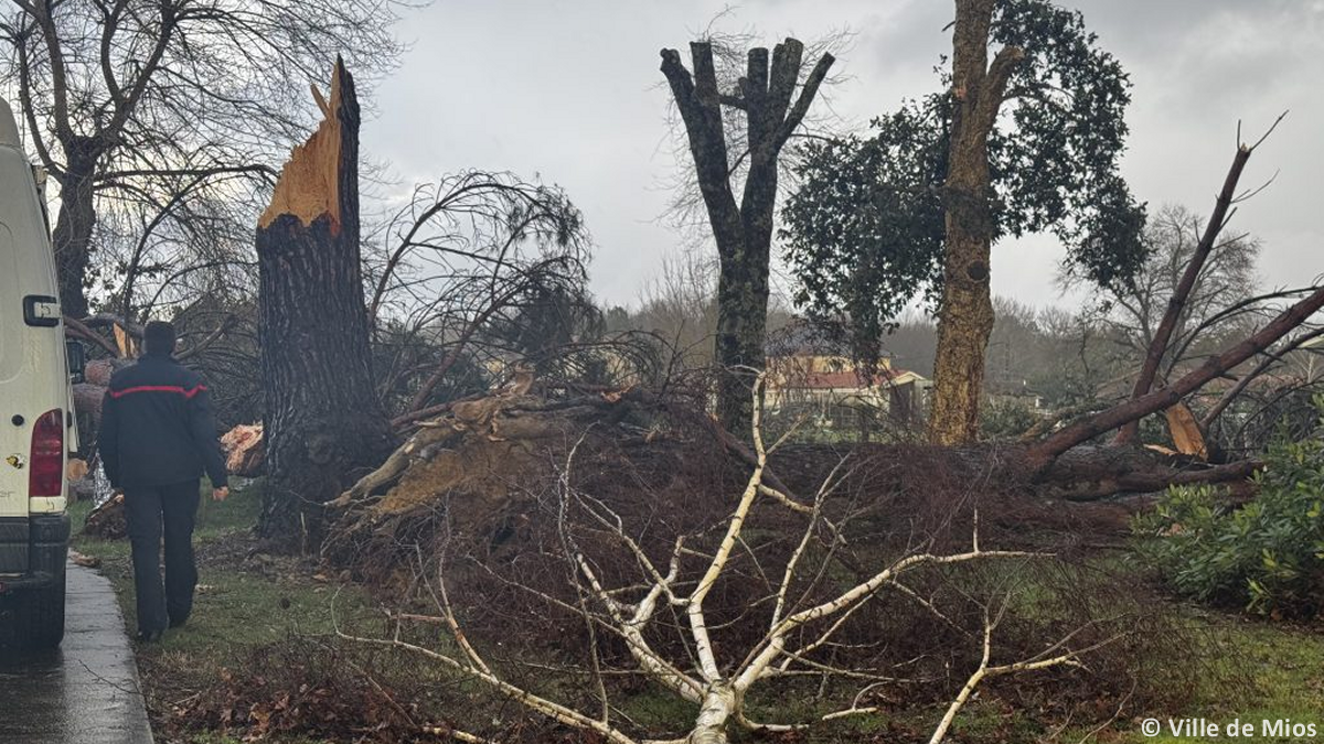Tornade EF1 à Mios (Gironde) le 31 janvier 2026