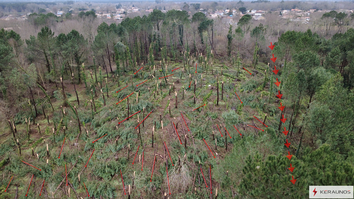 Tornade EF1 à Mios (Gironde) le 31 janvier 2026